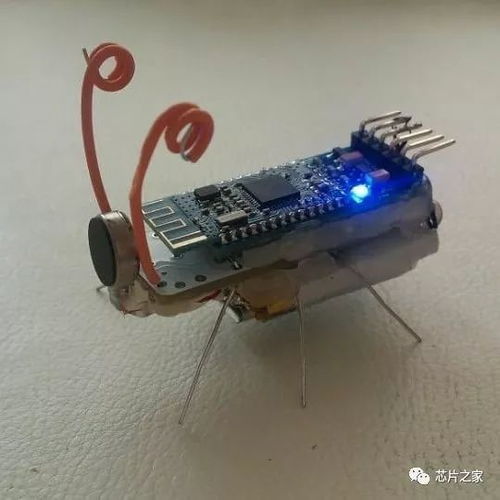 電子元器件的藝術(shù)新生 當(dāng)技術(shù)零件變成視覺詩(shī)歌